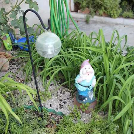 Miriam Srima