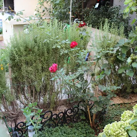 Appartement Miriam Srima *