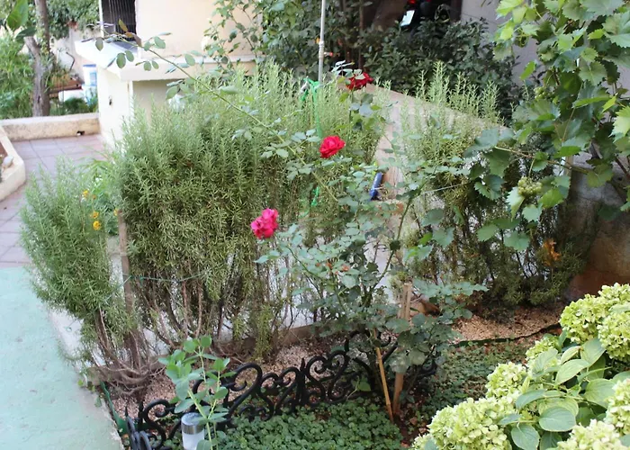 Appartement Miriam Srima *